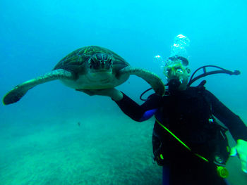 Man holding turtle while scuba diving in sea