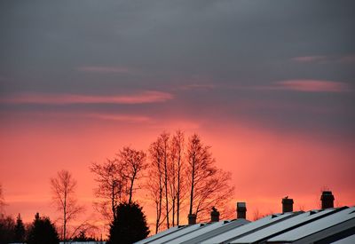 Low angle view of silhouette trees against sky during sunset