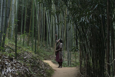 View of a woman in the bamboo forest