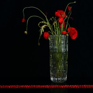 Close-up of red rose in glass against black background