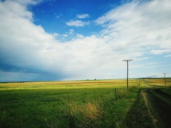 Scenic view of agricultural field against sky