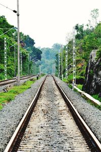 View of railroad tracks along trees