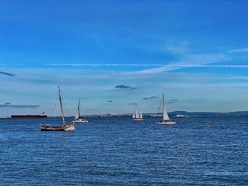 Sailboat sailing on sea against blue sky