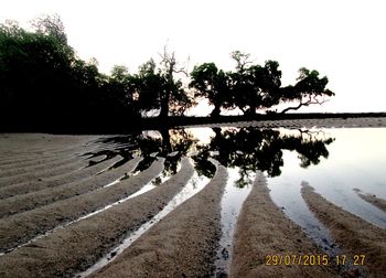 Trees by lake against sky