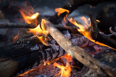 Close-up of campfire