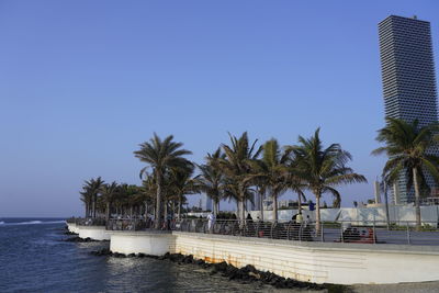 Palm trees on beach against clear blue sky