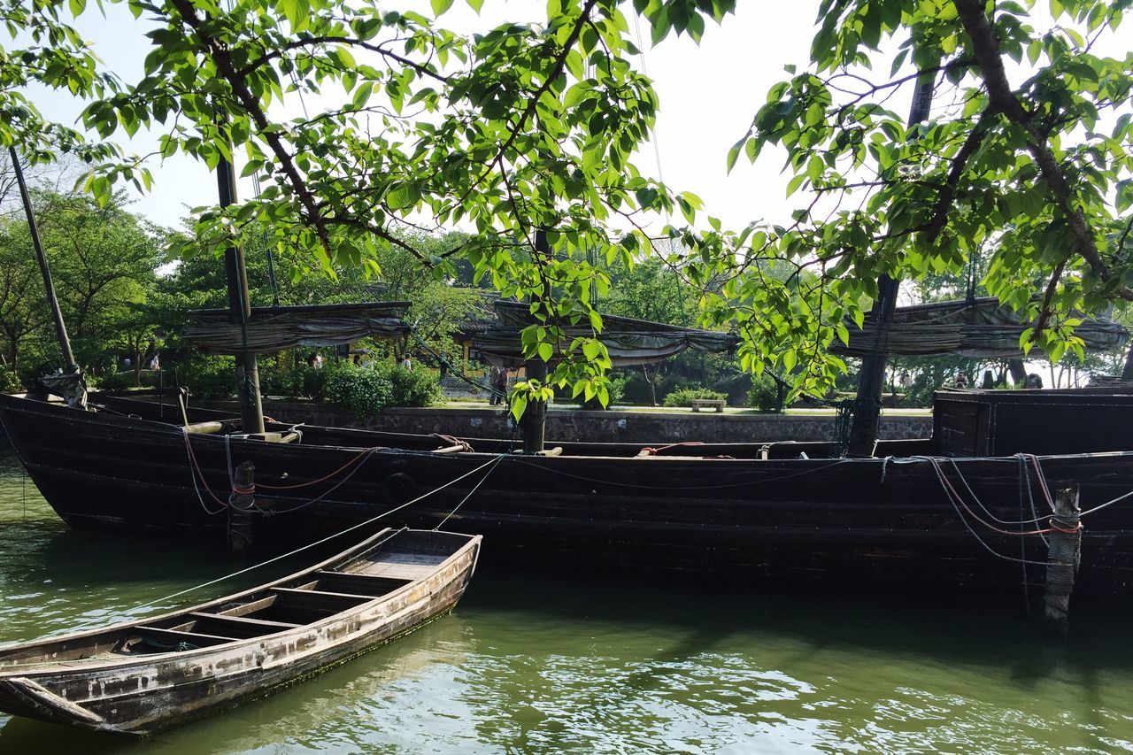 tree, water, tranquil scene, branch, growth, tranquility, tree trunk, bridge, scenics, green color, nature, tourism, day, footbridge, vacations, outdoors, non-urban scene, canal, curve, footpath, park, sky, green, beauty in nature, formal garden