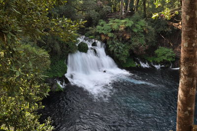 View of waterfall in forest
