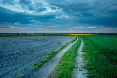 Rural road through the fields in eastern poland