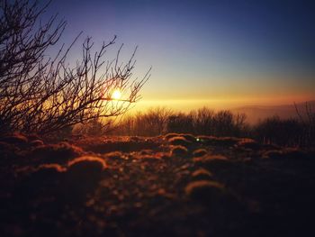 Scenic view of field against sky during sunset