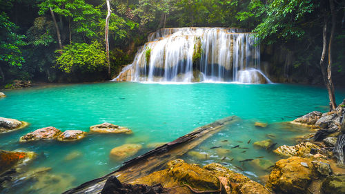 Scenic view of waterfall in forest