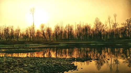 Reflection of trees in lake during sunset