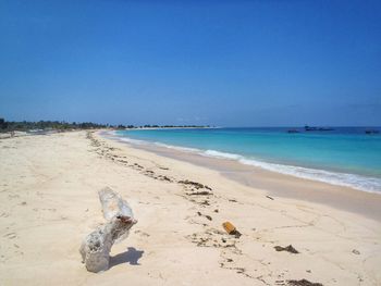 Scenic view of driftwood on beach against clear sky