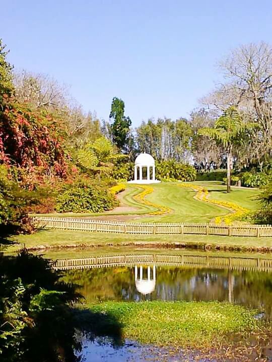 BUILT STRUCTURE WITH TREES IN WATER