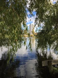 Reflection of trees in water against sky