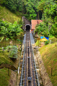 Railroad tracks amidst trees and plants