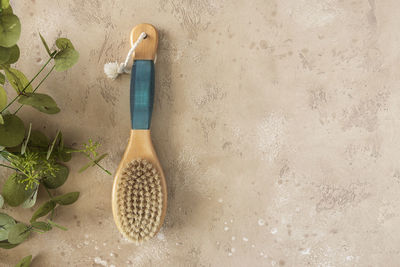 High angle view of potted plant against wall