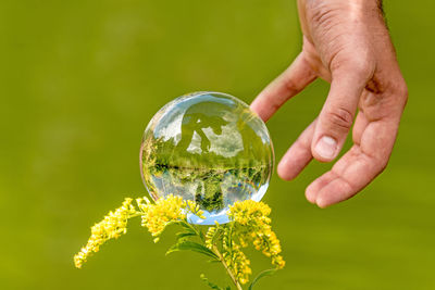 Close-up of person hand by crystal ball on plant outdoors