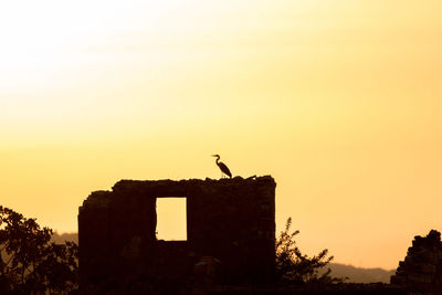 Low angle view of silhouette bird flying against clear sky