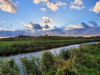 Scenic view of field against sky