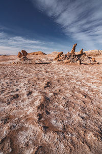 Rear view of man standing on rock