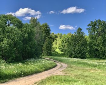 Road amidst trees against sky