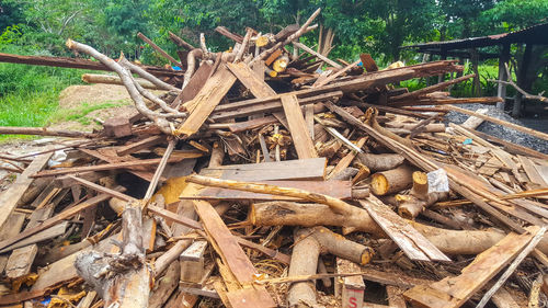 Close-up of logs