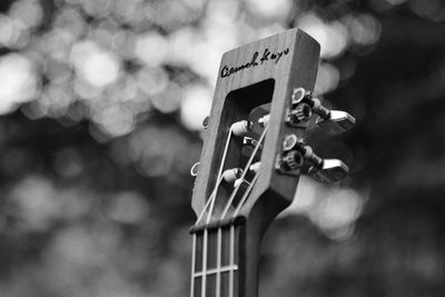 Close-up of guitar