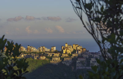 Buildings and trees against sky during sunset