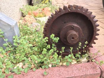 Close-up of abandoned wheel