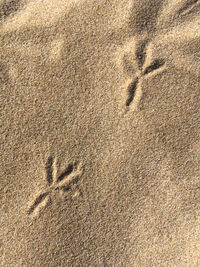 Full frame shot of sand