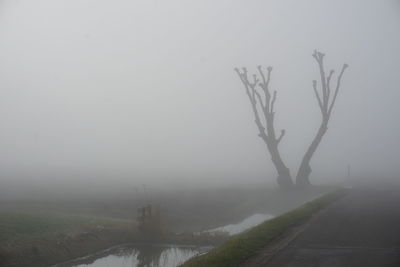 Bare tree in foggy weather against sky during winter