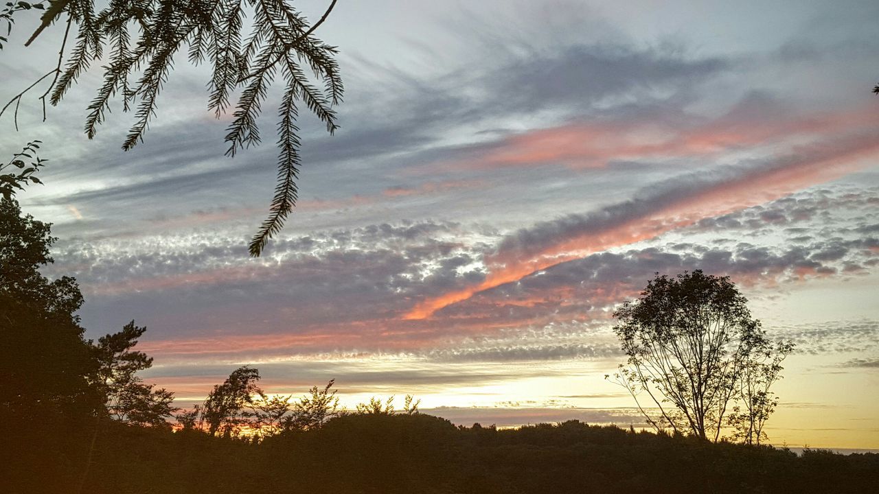 sunset, silhouette, tranquil scene, scenics, tranquility, tree, sky, beauty in nature, nature, orange color, cloud - sky, idyllic, landscape, dramatic sky, cloud, non-urban scene, majestic, branch, outdoors, no people