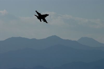 Low angle view of bird flying in sky