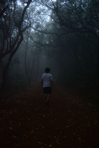 Rear view of man walking in forest