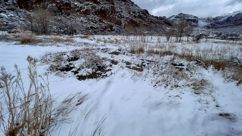 Scenic view of snowcapped mountains during winter