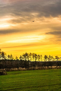 Scenic view of field against sky at sunset