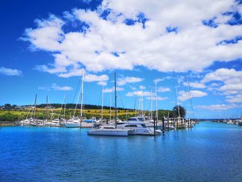 Sailboats moored in gulf harbor, auckland, new zealand