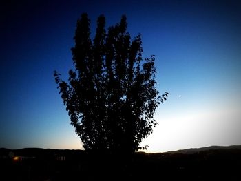 Low angle view of silhouette tree against clear sky