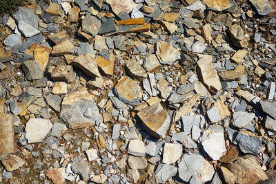 Full frame shot of stone in forest