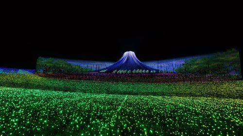 Illuminated field at night