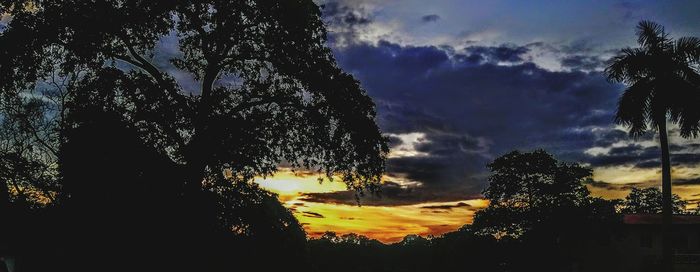 Silhouette trees against sky during sunset