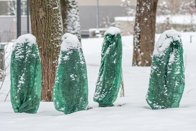 Plants, bushes and trees in a park or garden covered with green blanket antifreeze, swath of burlap