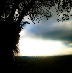 Silhouette of tree against sky