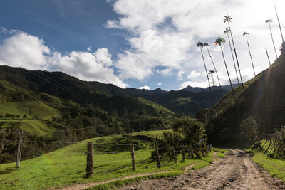 Scenic view of cocora valley against sky