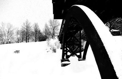 Snow covered trees in winter