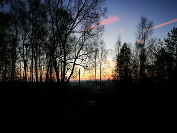 Silhouette trees in forest against sky at sunset