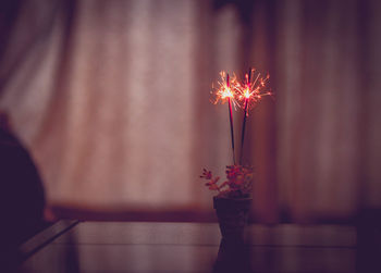 Close-up of sparklers in flower pot on table at home