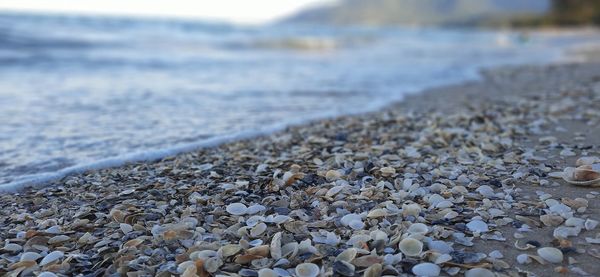 Close-up of stones on beach