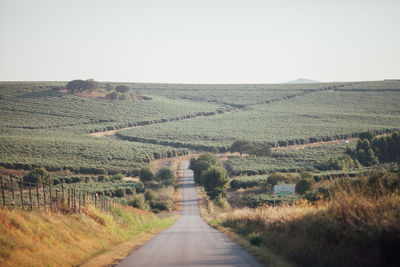 Road amidst landscape against clear sky